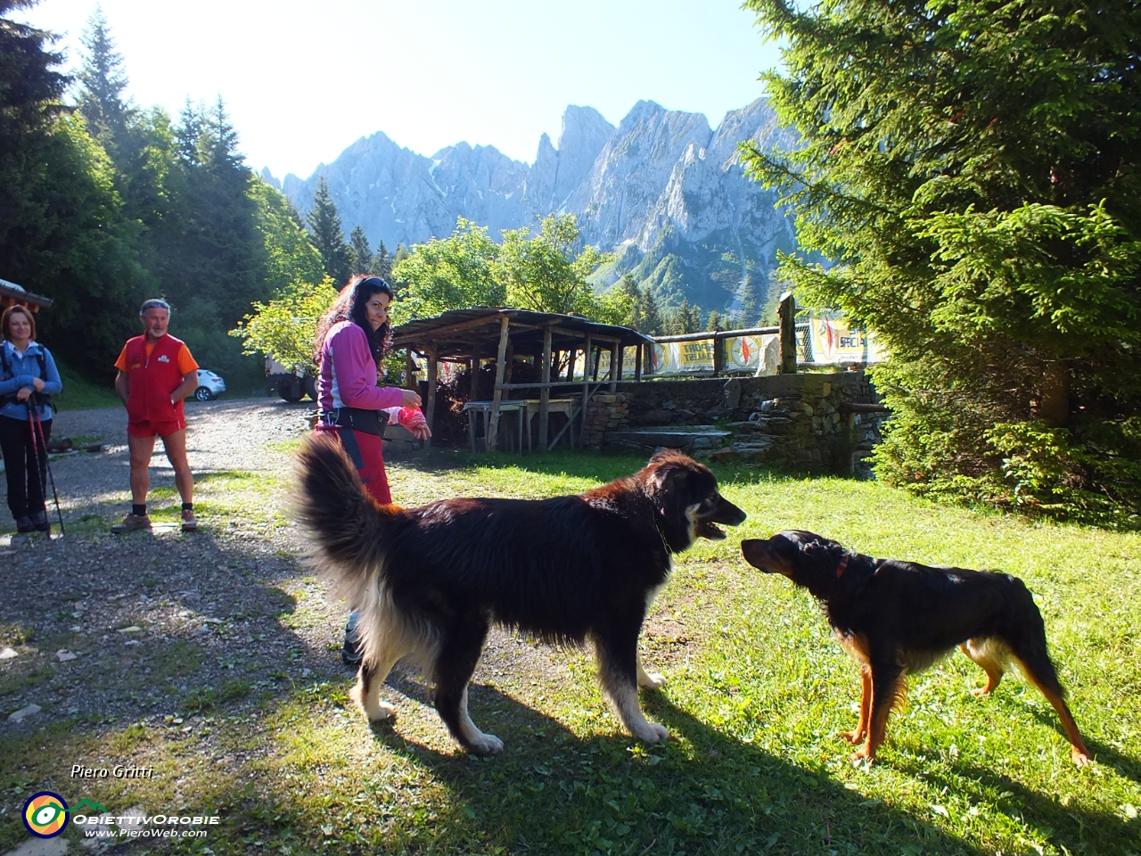 05 Dylan  incontra  il bel cane del Rifugio... .JPG